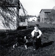 David Dorrough